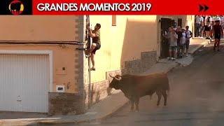 🤩 GRANDES MOMENTOS de 2019 · Tercera parte [upl. by Beverlee]