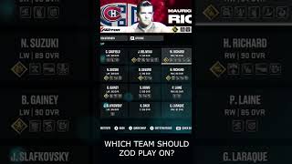 2BCs Superb Multiverse Roster nhl25 [upl. by Irtemed267]