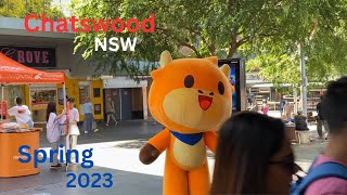 Chatswood NSW spring 2023 tp Chatswood Australia [upl. by Jehanna710]