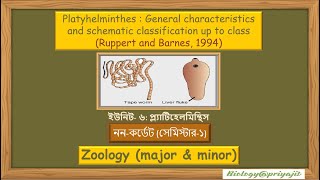 Exploring Platyhelminthes General Characteristics and Classification [upl. by Eugenius]