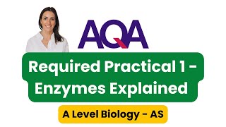 Required Practical 1  Enzymes Explained  AQA ALevel Biology [upl. by Touber]