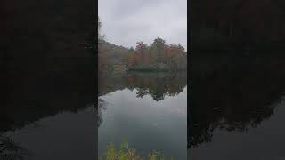 Laurel lake fall colors Breaks Interstate Park Breaks VA [upl. by Kinchen315]