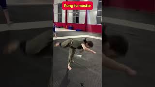 Kung fu masters demonstrate difficult moves kungfu flip [upl. by Arekahs]