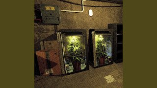 drug dealer simulator [upl. by Acile]