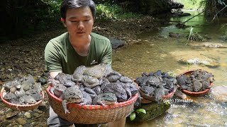 Catch frogs to cook and sell Robert  Green forest life [upl. by Eneroc342]