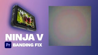 Ninja V Atomos 10bit Footage Banding in Premiere Pro FIX Atomos  ProRes [upl. by Nivrac185]