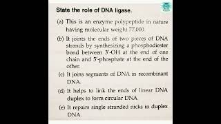 DNA ligase DNA repair Xeroderma pigmentation [upl. by Kaufman]