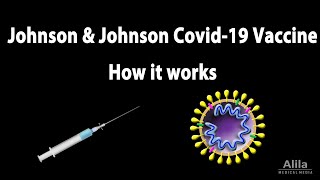 How JampJ COVID19 Vaccine Works Animation [upl. by Teiluj192]