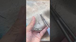 Efficient Electric Poultry Feather Plucker A StepbyStep Guide😅😅 wildanimalfacts facts [upl. by Inahteb]