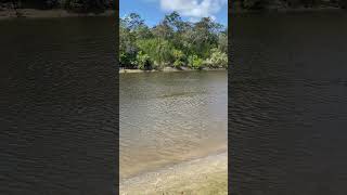 Corbetts landing shorts fishing [upl. by Tingey]