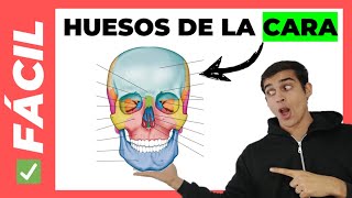 🤯 HUESOS DE LA CARA fácil con MNEMOTECNIA [upl. by Macmillan]