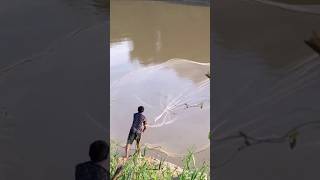 Fantastic video throw netting fishing  fishing traditional trapnetsfishing nature [upl. by Vogeley]