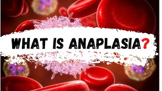 What is Anaplasia  Anaplasia [upl. by Kassel]