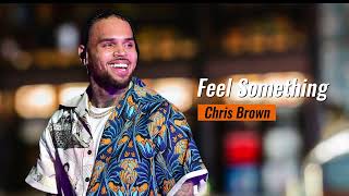 Chris Brown  Feel Something Remix [upl. by Shelman]