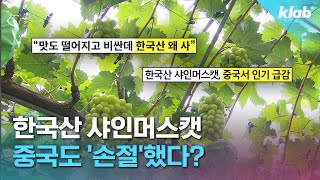 quot처음엔 안 이랬는데quot…샤인머스캣 맛이 변한 진짜 이유｜크랩 [upl. by Ajiam]