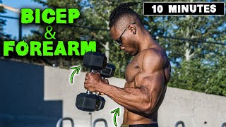 10 MINUTE LIGHTWEIGHT DUMBBELL BICEP amp FOREARM WORKOUT [upl. by Jenne]