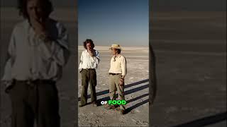 Top Gear Botswana Special Part 1 Worlds Deadliest Salt Flats grandtour jeremyclarkson topgear [upl. by Ridglea]