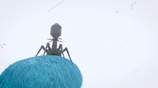 3D science animation  Bacteriophages  phages [upl. by Nomzed438]