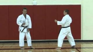 Jiyu ippon kumite  Ushirogeri [upl. by Libby]