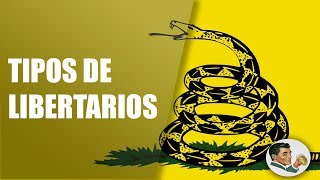 Tipos y Diferencias de Liberales y Libertarios [upl. by Rehpotsirh]