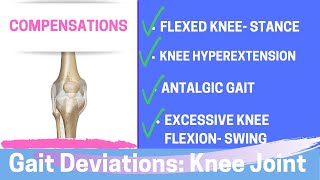 Gait Deviations Compensatory Knee Joint Strategies [upl. by Camille951]