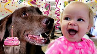 👶🏻1st BIRTHDAY DOG SURPRISE🎂 [upl. by Llenor980]