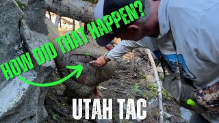 The HARDEST turkey at Utah TAC  Boulder BIRD [upl. by Ul420]