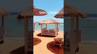 Discover the ultimate getaway at Parrotel Beach Resort 🏖️🌴sharmelsheikh [upl. by Augy]