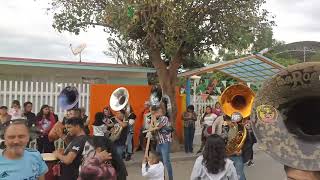 Banda las estrellas del pacífico tocando el gallo 🐓 viejo 🔝‼️ [upl. by Ellennahc637]