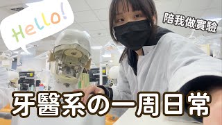 陪我上實驗課！牙醫系學生的一周日常｜熊的窩ft Ana Luisa [upl. by Maiah]