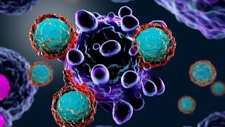 MicroRNA34a and Cancer Immunotherapy June 13 2020 [upl. by Nedloh734]