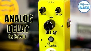 Rowin LEF314 Analog Delay Pedal [upl. by Keraj]