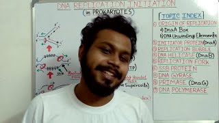 DNA Replication l Replication initiation in Prokaryotes [upl. by Xanthus]