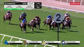 🔥CYLINDER🔥  Newmarket Handicap 2024 G1 Handicap Group 1 Flemington 9 March [upl. by Hanikas199]