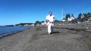 Shinburyu Chitoryu karatedo Kihon no sai by Jean Noel Blanchette 7 Dan [upl. by Atiuqcir]