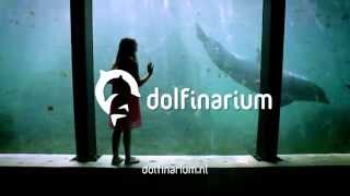 Dolfinarium [upl. by Joaquin]