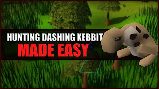 Quick Guide to Hunting Dashing Kebbits in OSRS  Hunter Guide  Hunters Rumours [upl. by Melbourne]