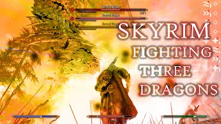 SKYRIM Fighting Three Dragons [upl. by Llerref633]