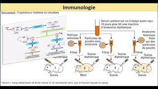 immunologie le systeme immunitaire exercices svt bac 2022 QCM 02 [upl. by Riley]