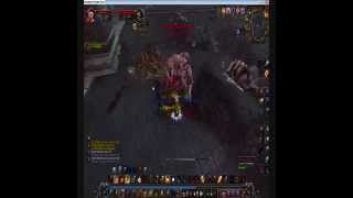 Prot Pally AoE Grinding Leveling Guide Northrend [upl. by Hafital828]