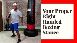 Boxing Stance For Beginners  Right hand Orthodox [upl. by Namolos]