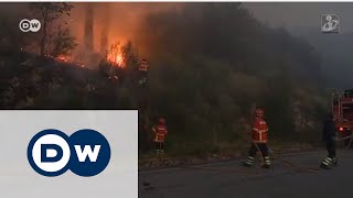 Portekizde orman yangını sorunu çözülemiyor [upl. by Arch]