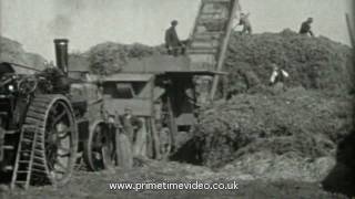 Working tractors and machinery video  Lincolnshire [upl. by Lundeen]