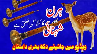 Aik din hmi k sath  Hafiz Mazhar Iqbal ShehnaiArtistPrabhat TansenAcademyMusic [upl. by Janey130]