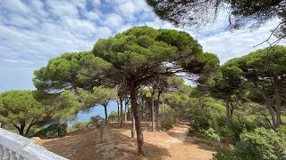 Vlog In Tanger Marokko laatste dag 🇲🇦 [upl. by Carlina]