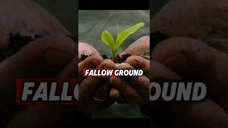 Breaking fallow ground Jeremiah 43 4 [upl. by Ialocin]