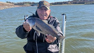 How We Caught 4 Fish in a Windy Day at Lake Arlington [upl. by Beker405]