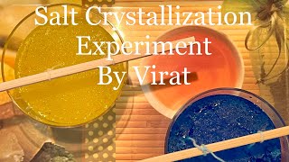 Salt Crystallization Experiment [upl. by Lebisor]