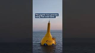 This wave energy converter is inspired by the human heart [upl. by Nedla]