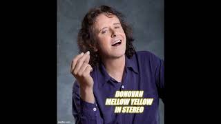 DONOVAN  Mellow Yellow STEREO 1966 HQ [upl. by Naylor877]